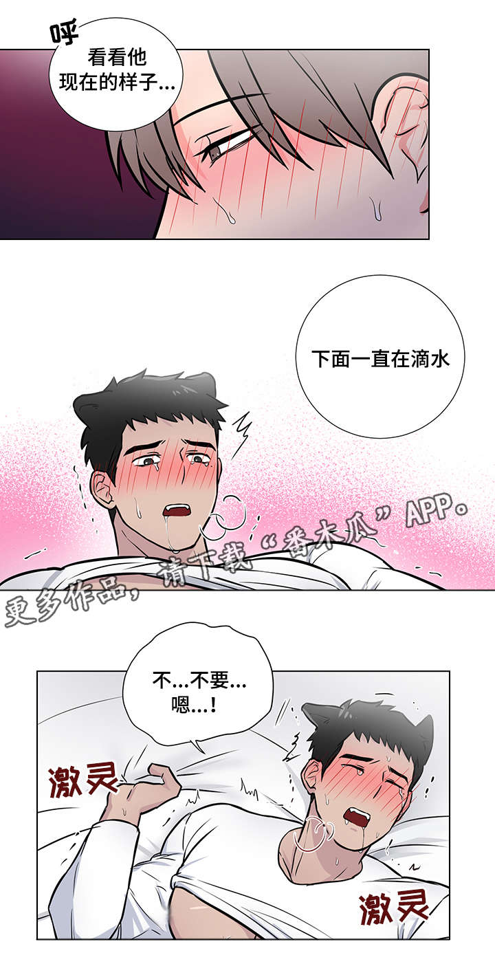 第14章：退烧1