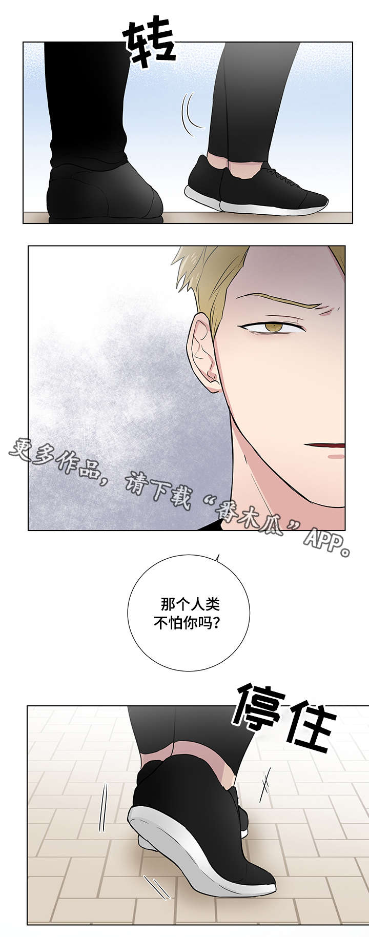 第23章：普通人11