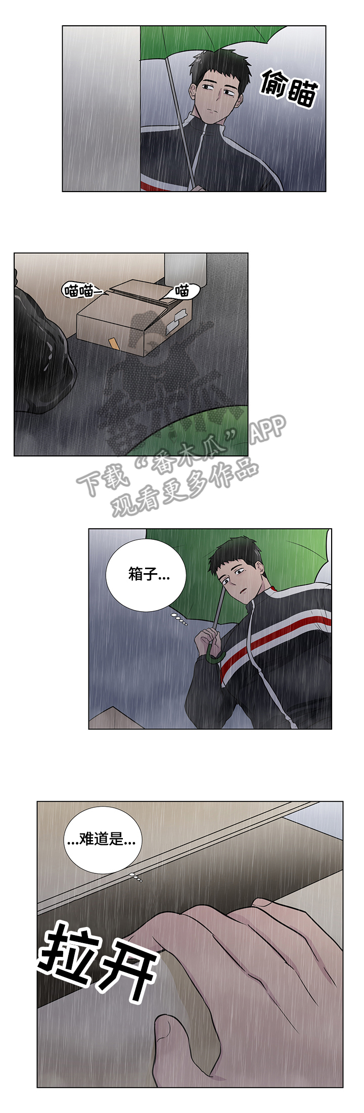 第64章：捡回一只猫2
