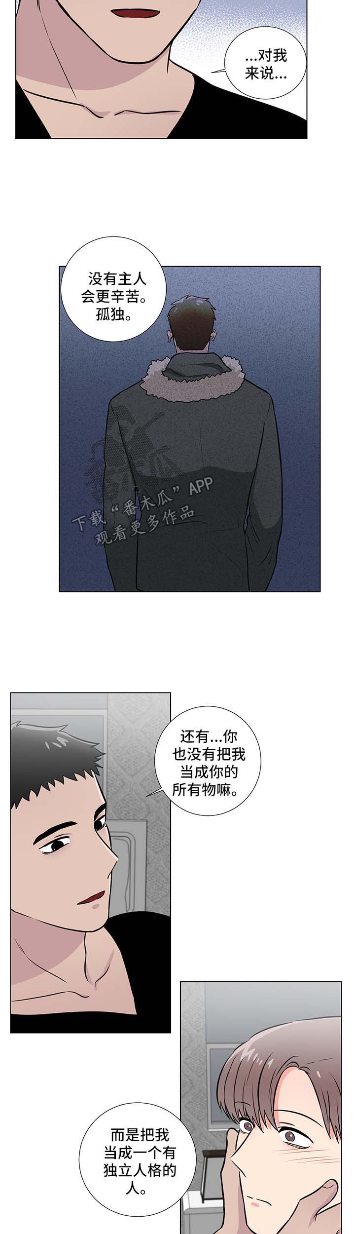 第49章：后盾3