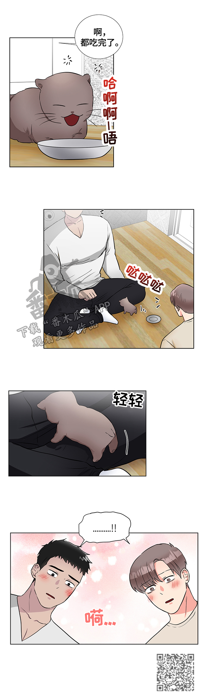 第64章：捡回一只猫8