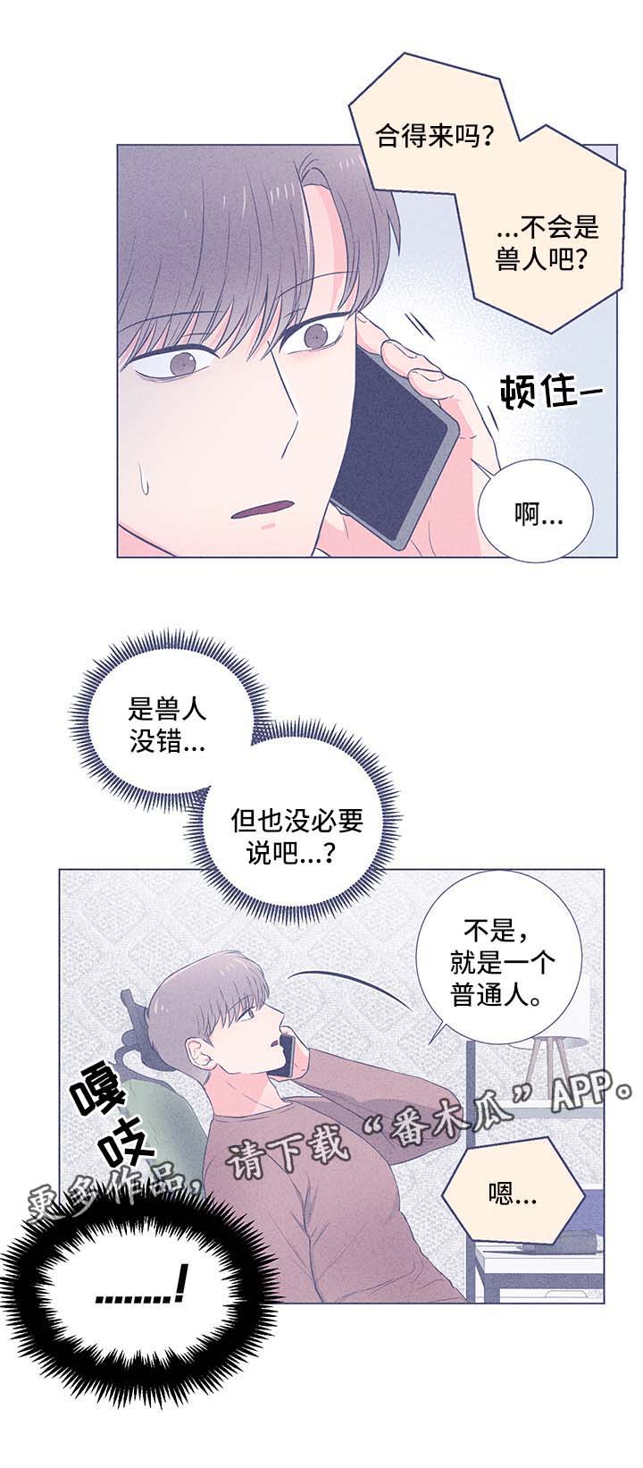 第49章：后盾6