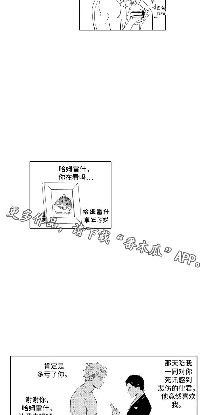 第5章：难以置信 10
