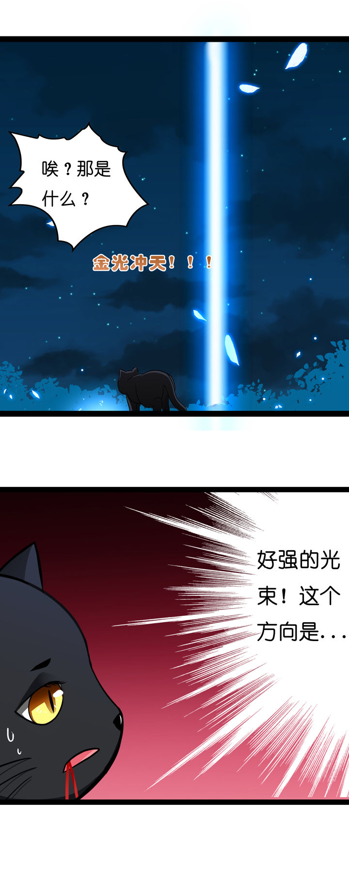 第6章：12