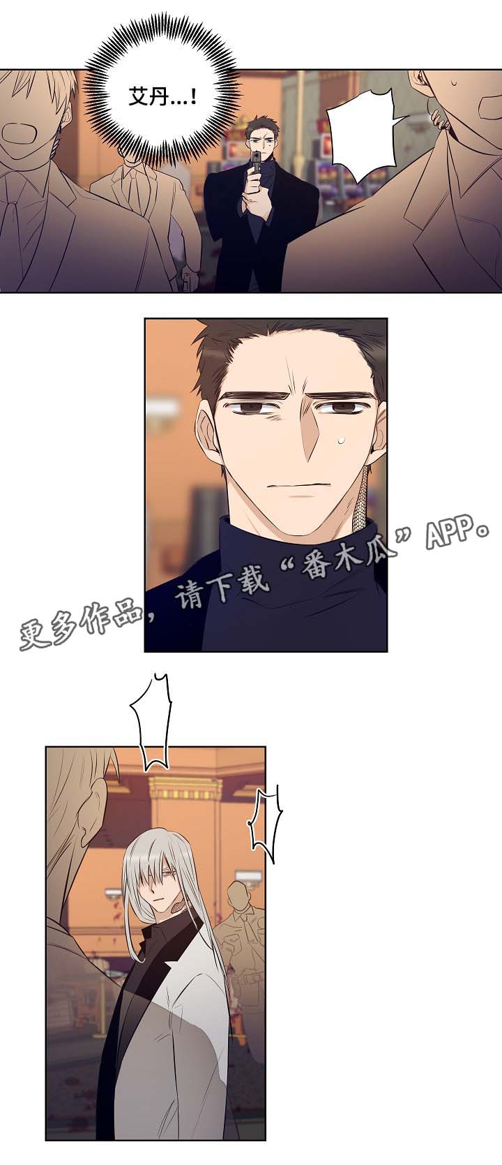 第49章：挡枪11