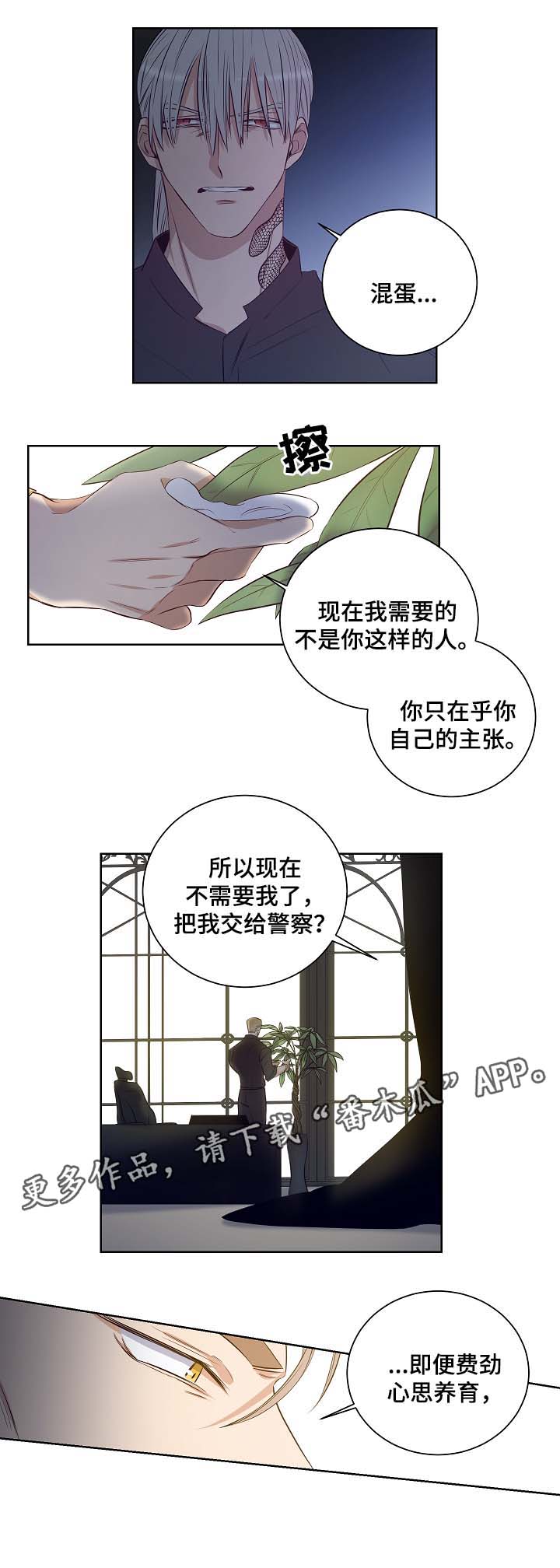 第48章：舍小求大1
