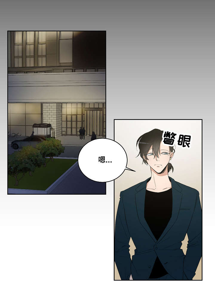 第22章：互相替代对方0