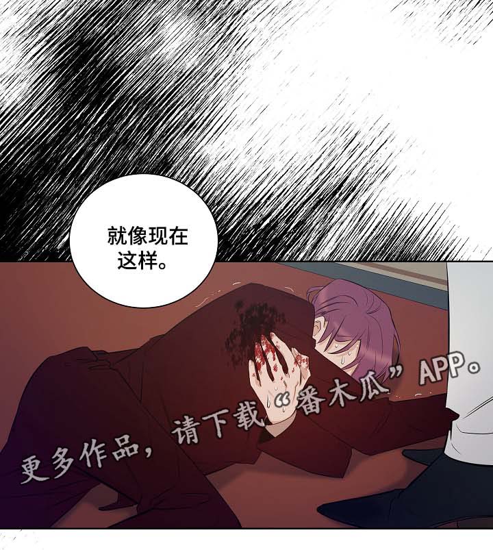 第46章：挡箭牌10
