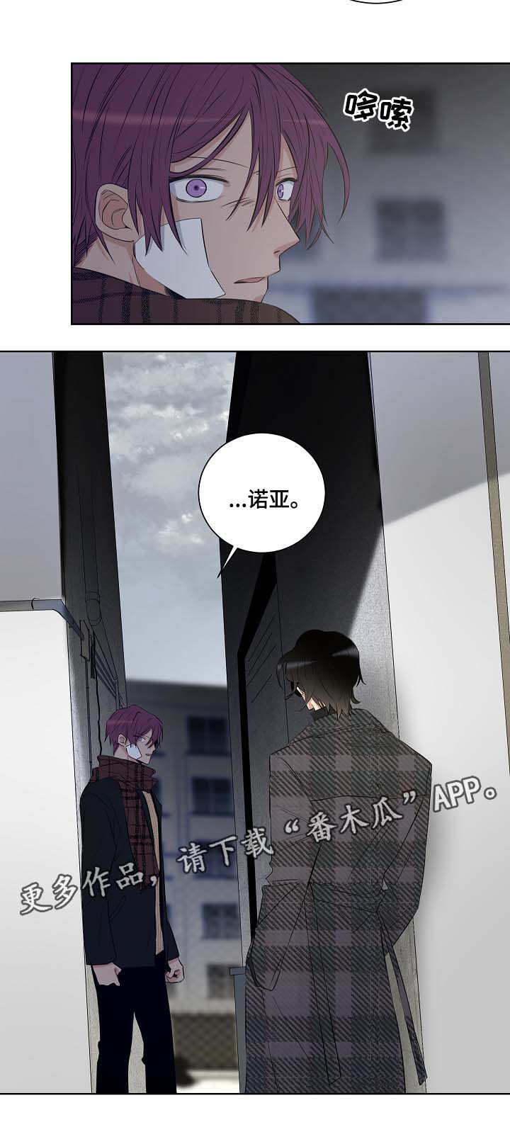 第34章：遇见纳因11