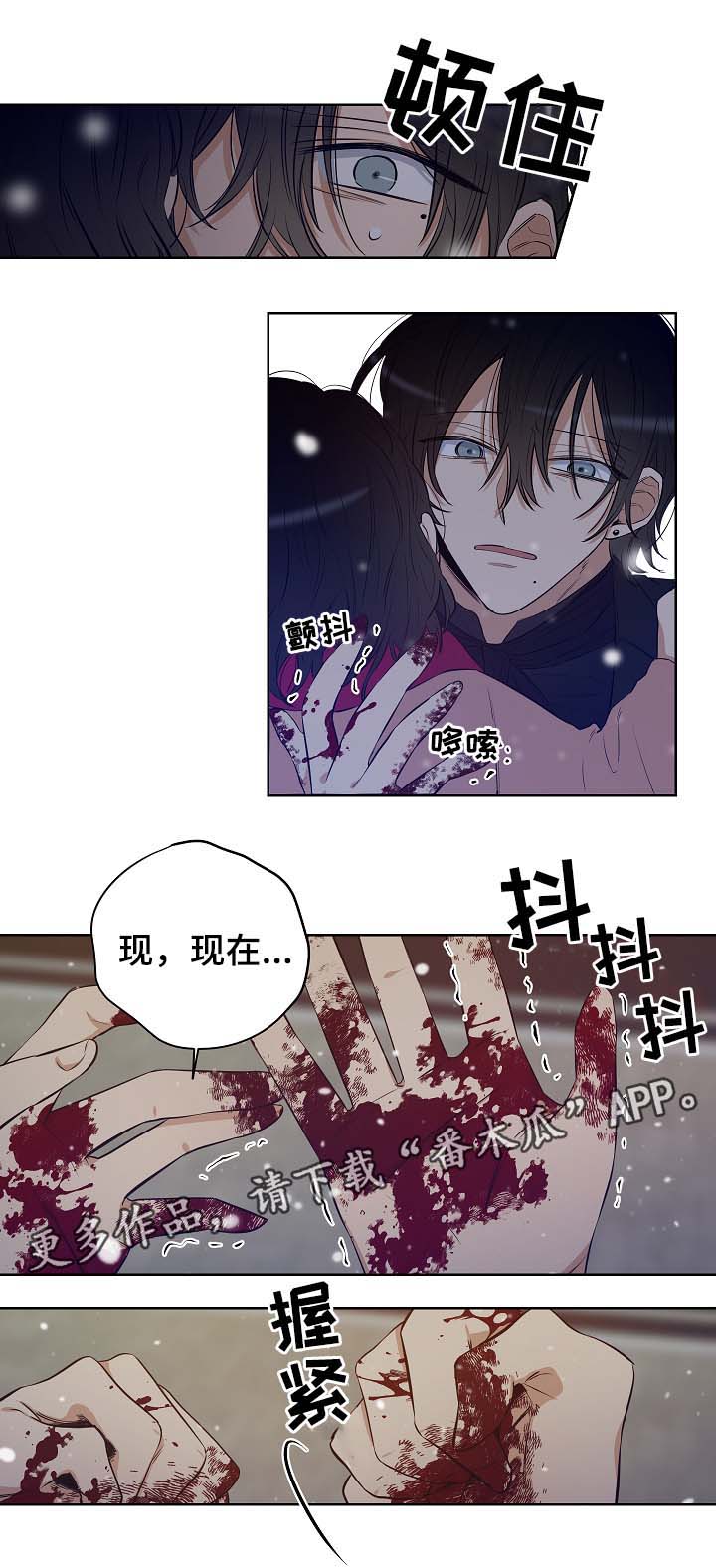 第50章：尘埃落定5