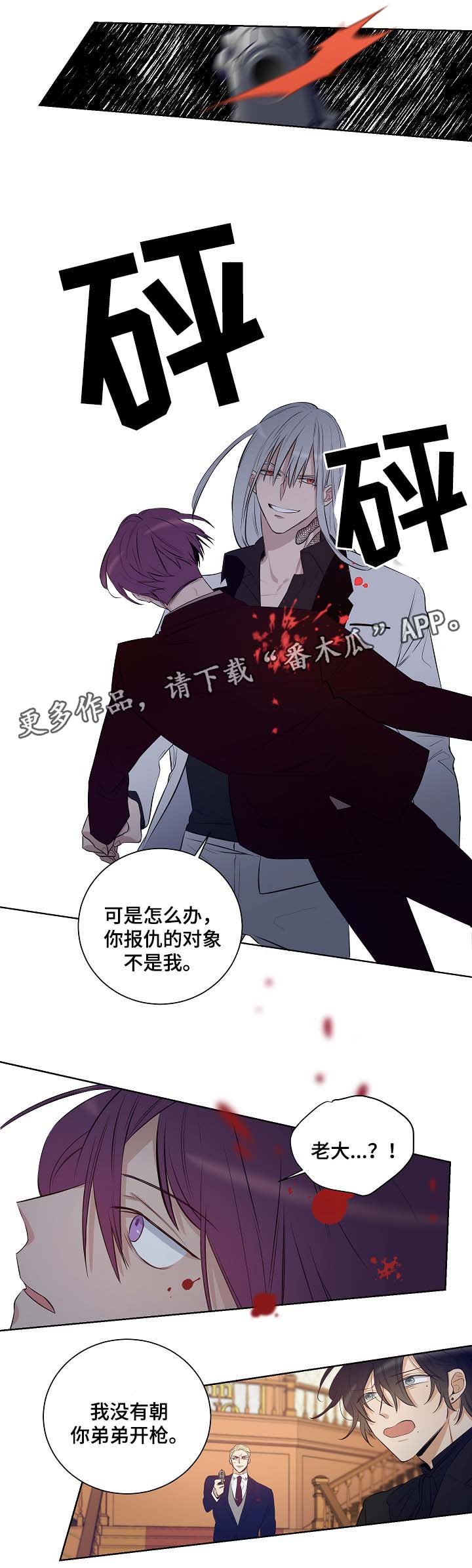 第46章：挡箭牌8