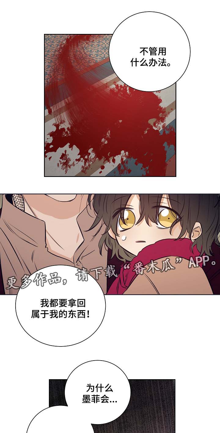 第46章：挡箭牌0