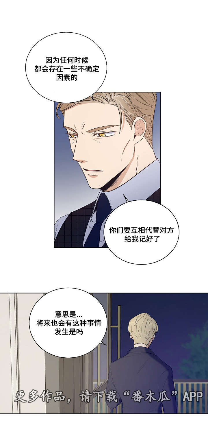 第22章：互相替代对方15