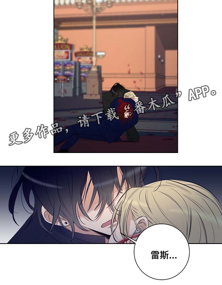 第49章：挡枪13