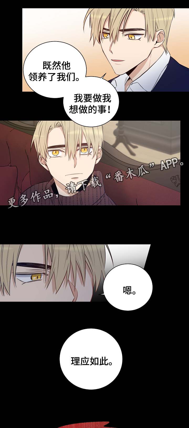 第50章：尘埃落定9