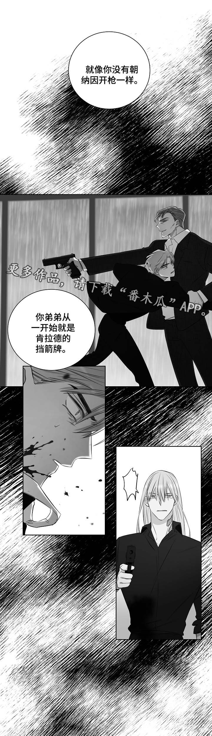 第46章：挡箭牌9