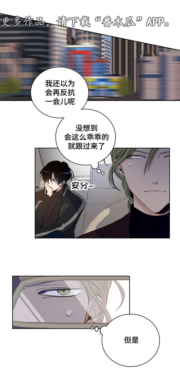 第16章：耀眼的我8
