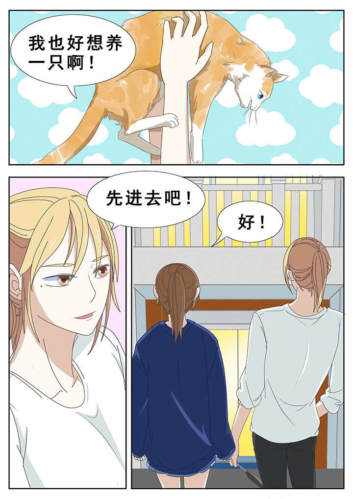 第34章：7