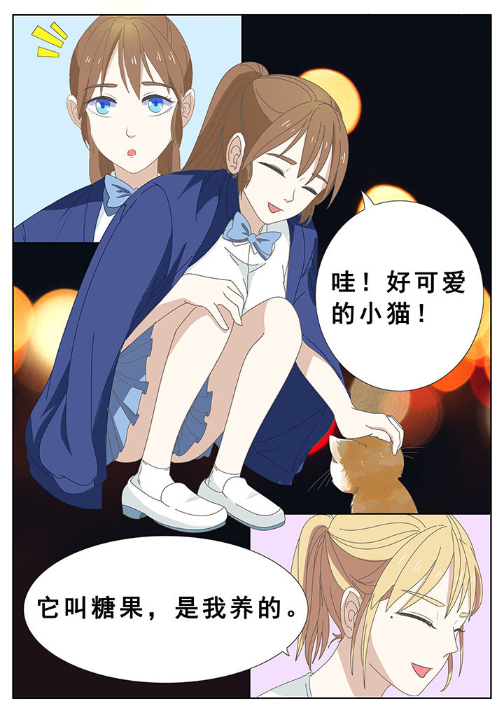 第34章：6