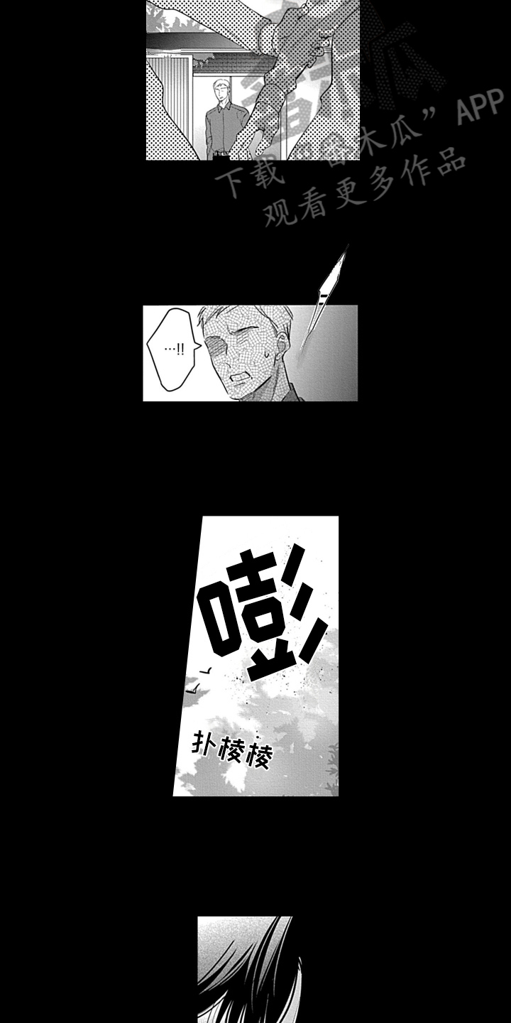 第19章：感情寄托7
