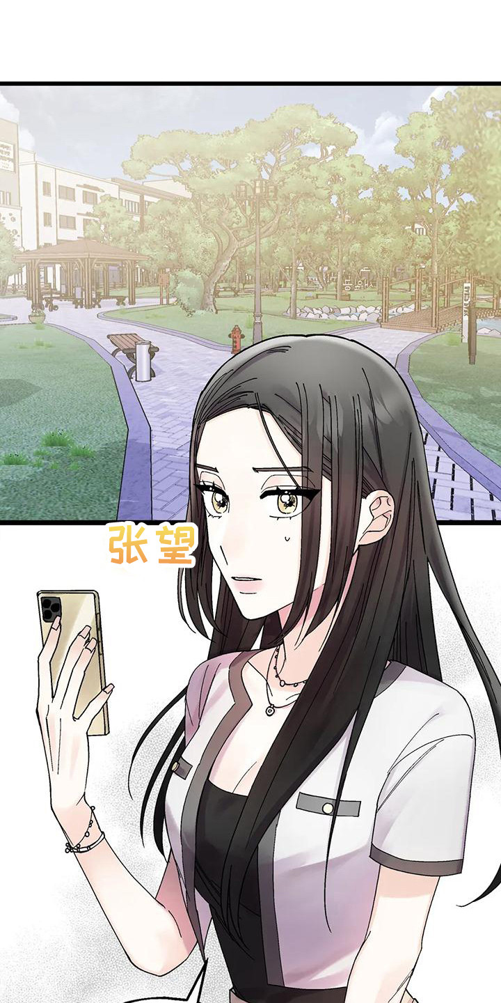 第15章：最后机会19