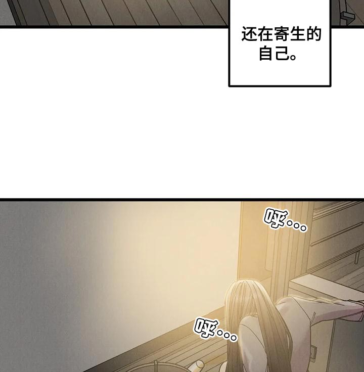 第29章：重大发布15