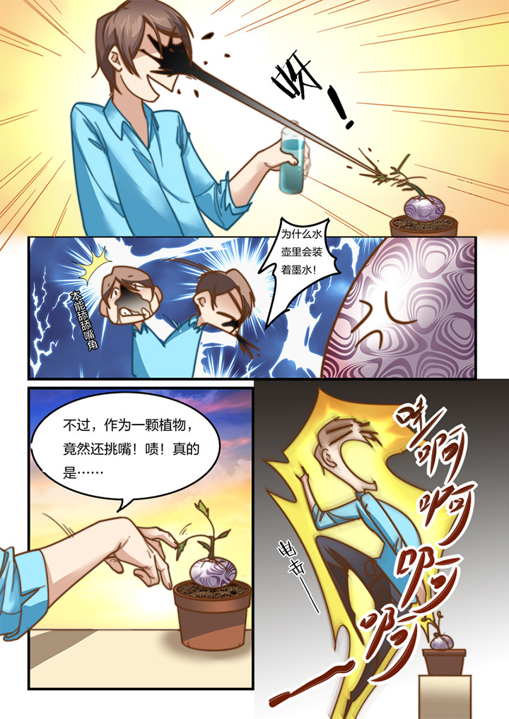 第5章：6