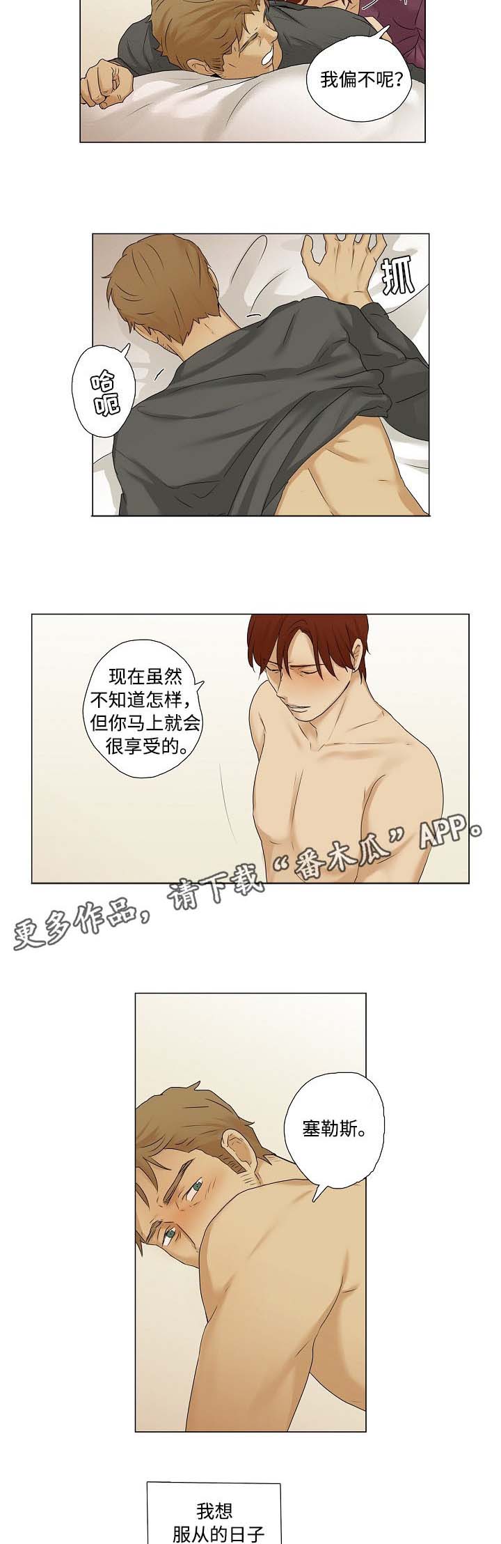 第18章：享受3