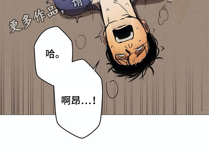 第5章：可怕14