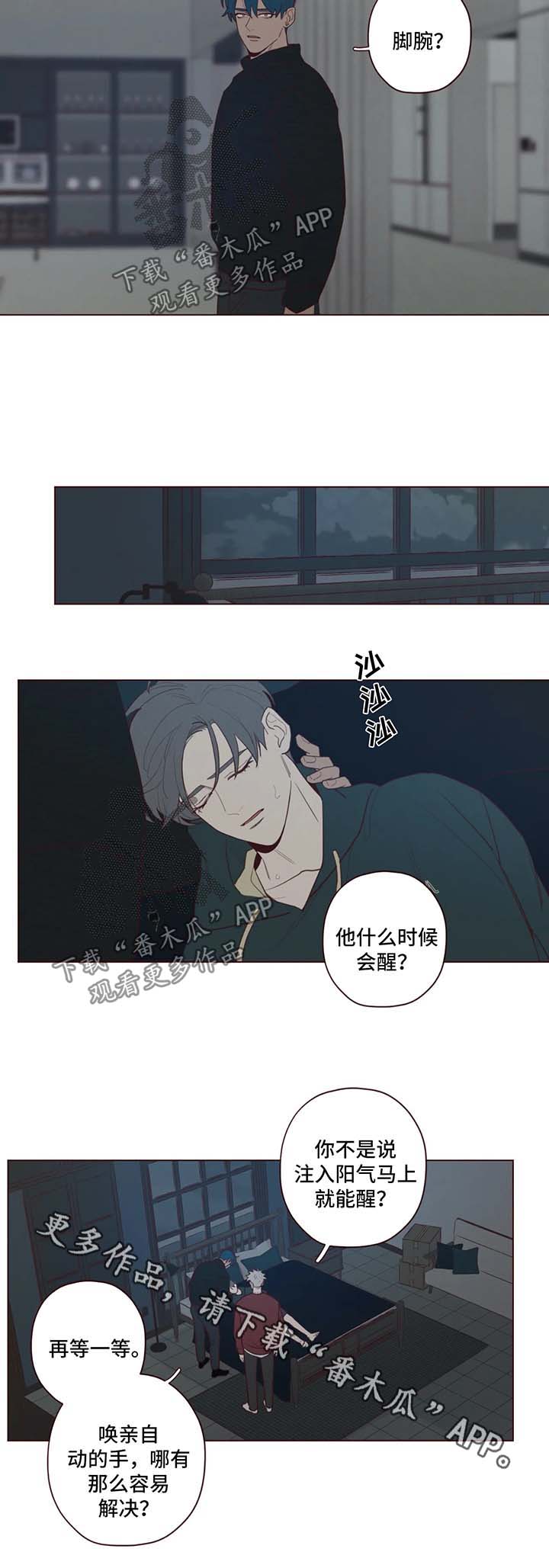 第53章：记忆的特权5