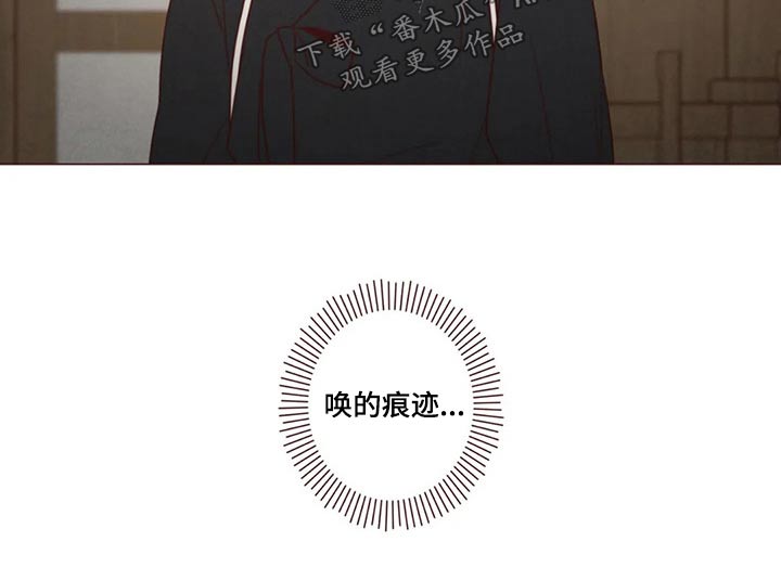 第143章：保护15