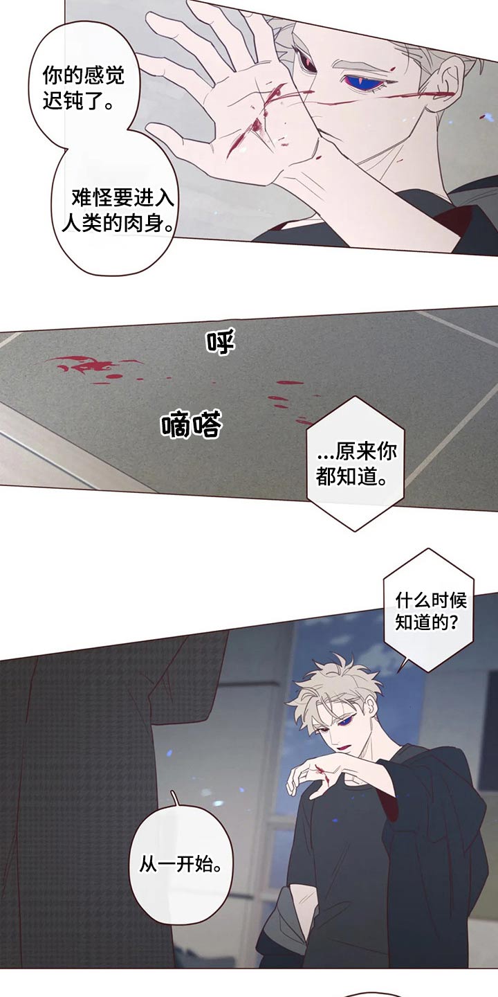 第124章：识破13