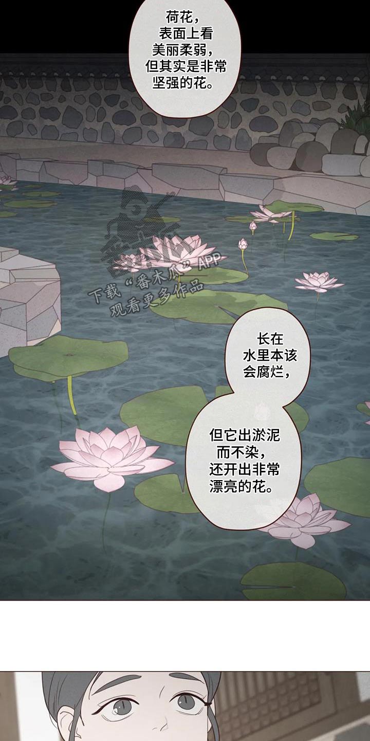 第176章：荷花16