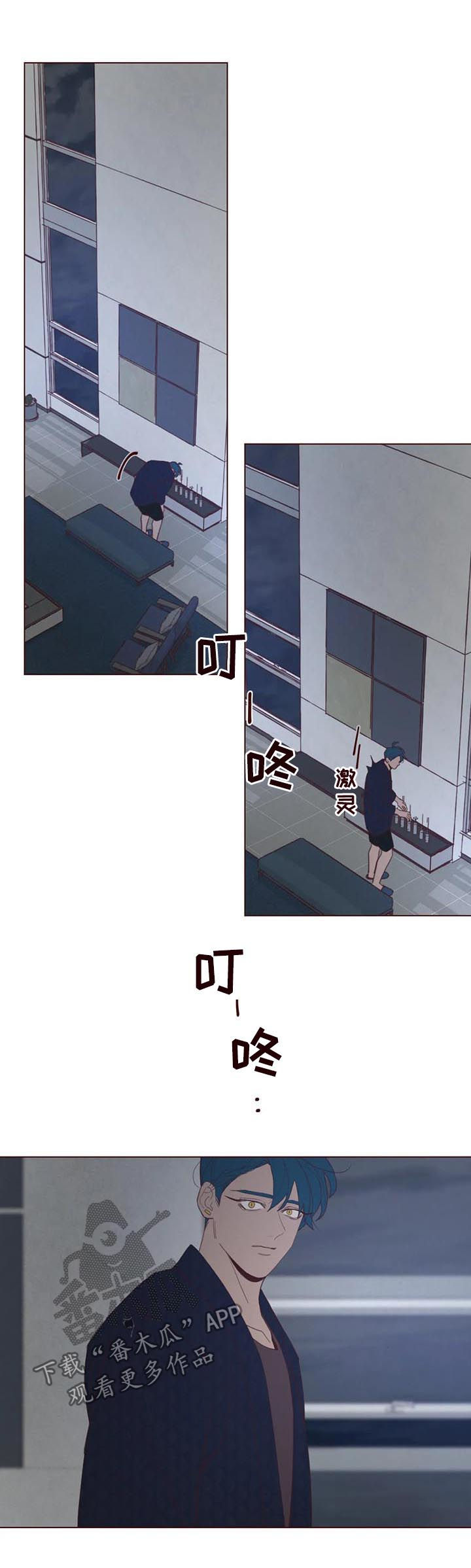 第113章：命运5
