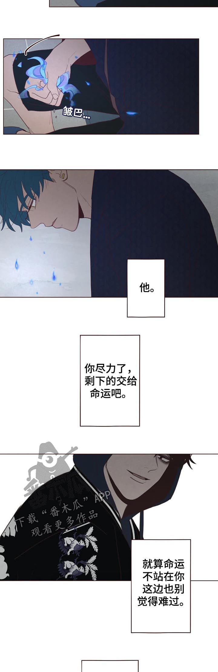 第113章：命运3