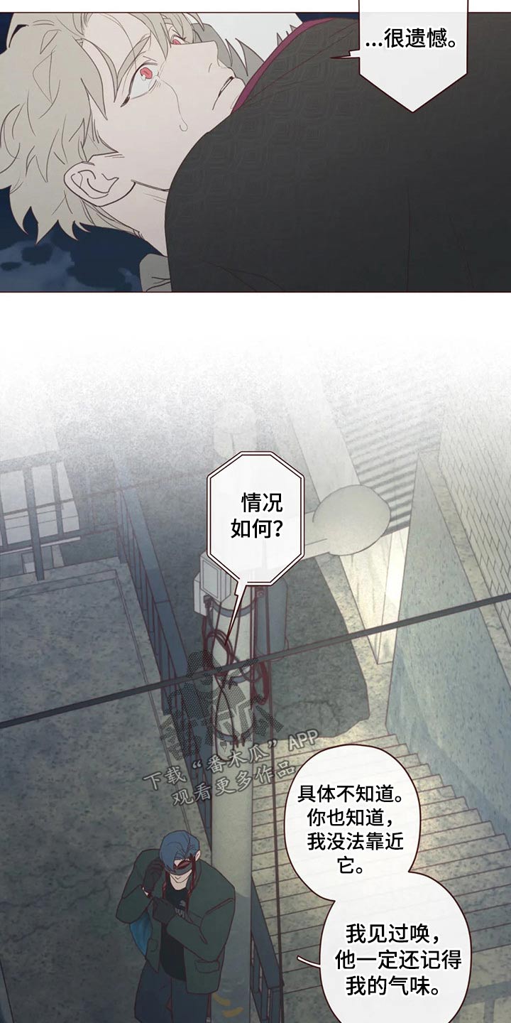 第123章：事情得到解决4