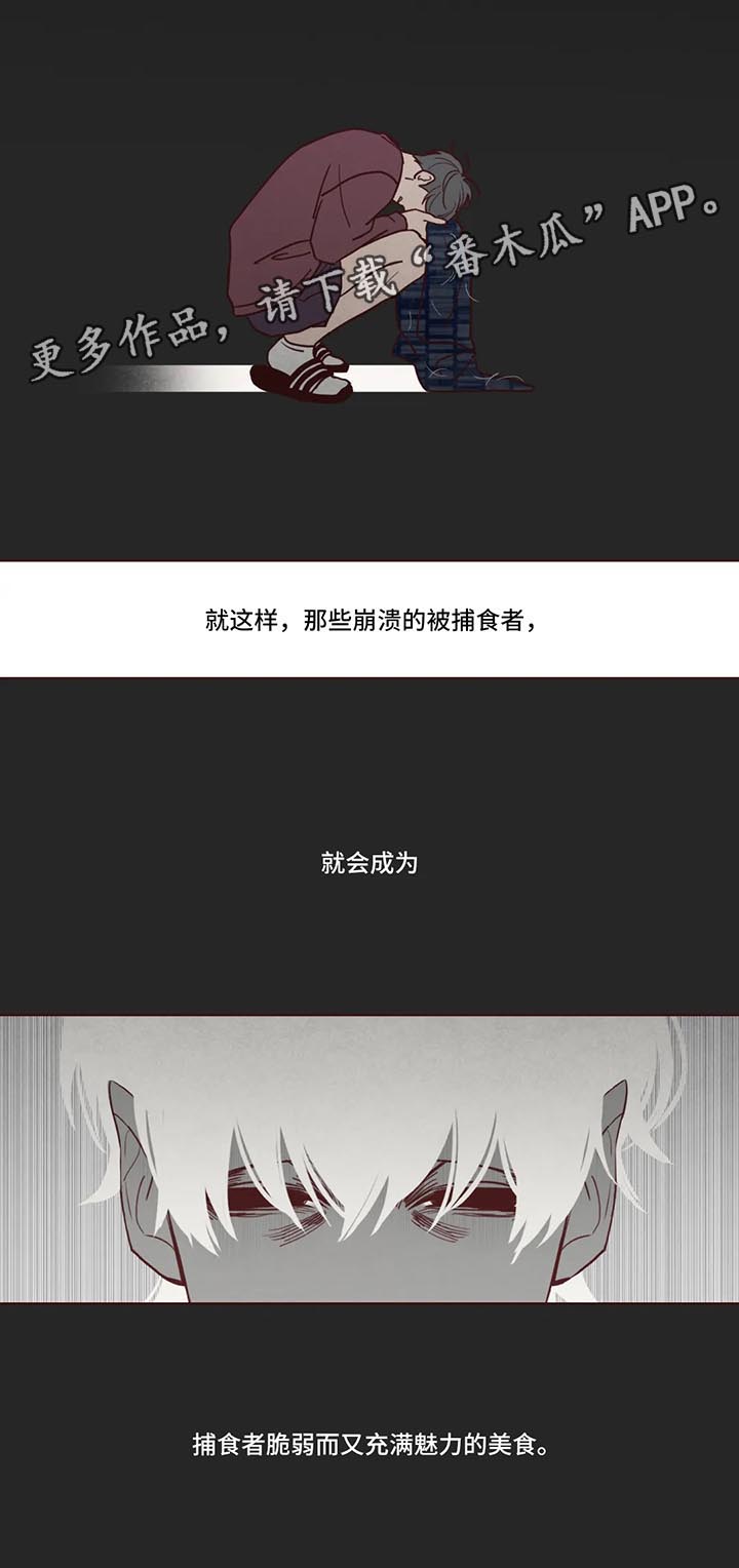 第82章：捕食者8