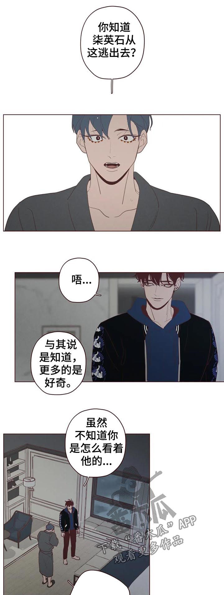 第113章：命运6