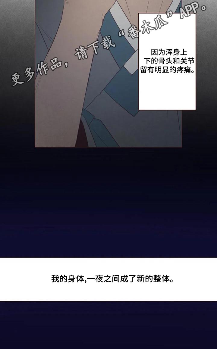第145章：一夜之间15