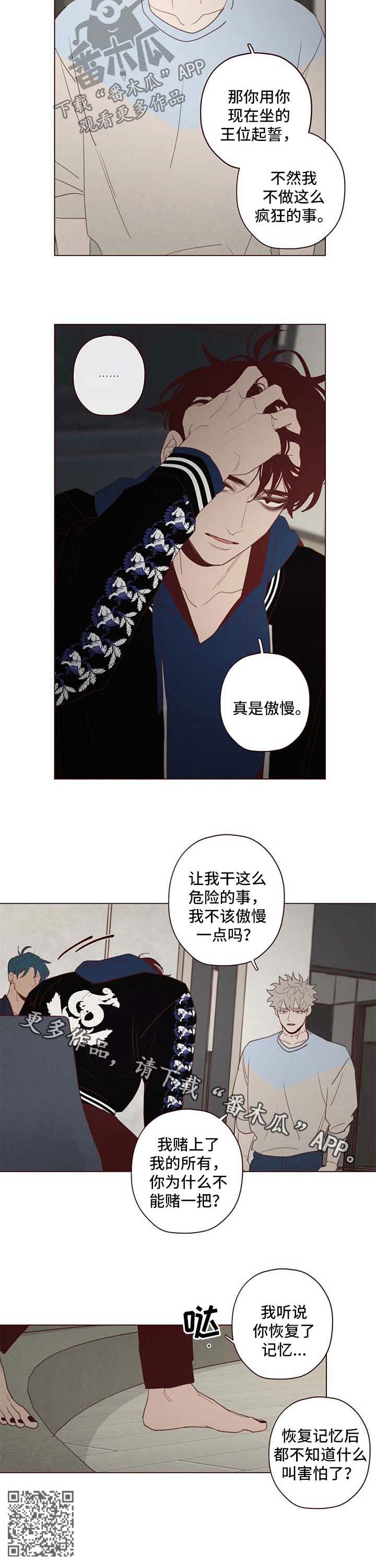 第110章：赌一把7