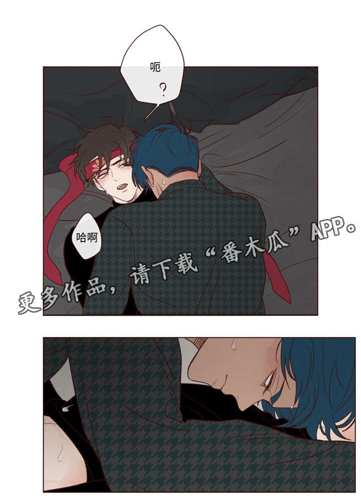 第17章：脸8