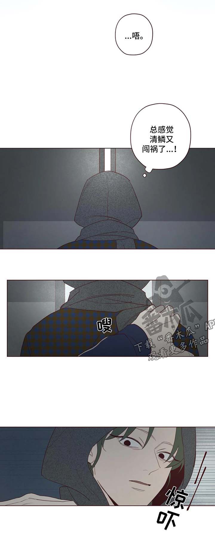 第48章：藏身之地3