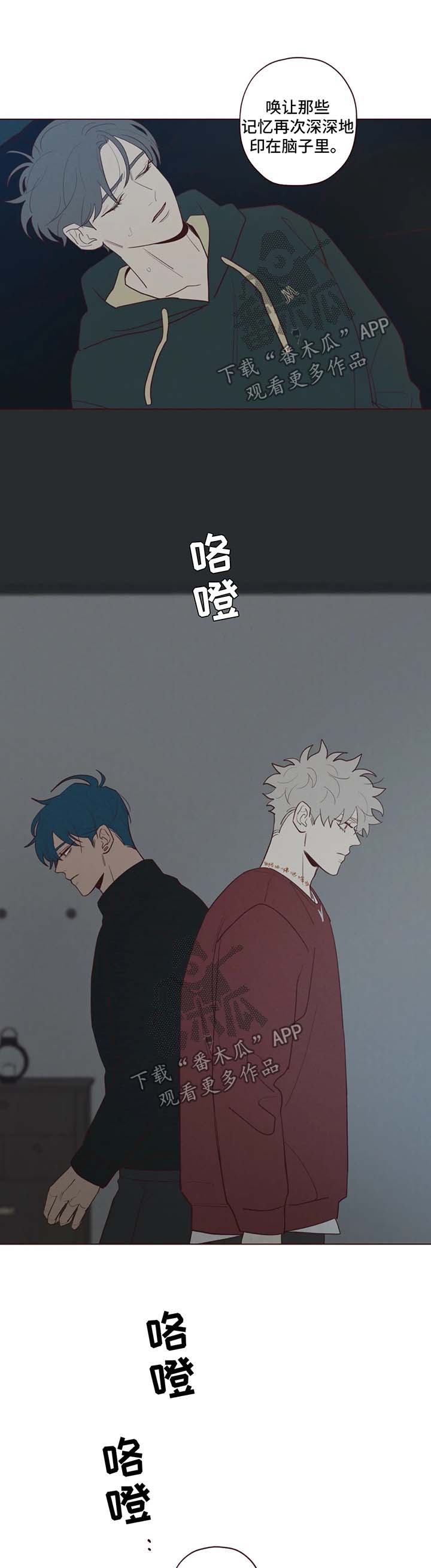 第53章：记忆的特权8