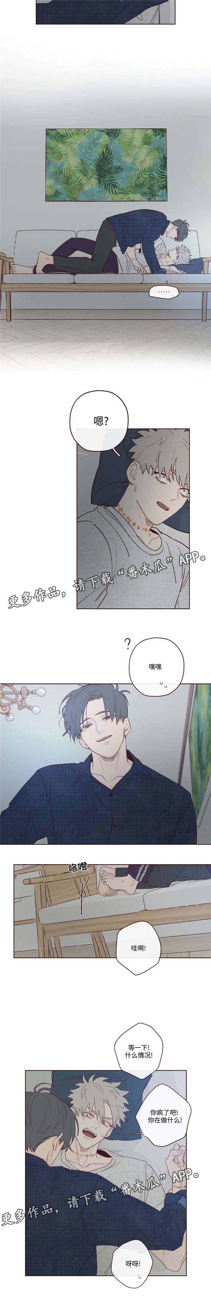 第11章：做饭11