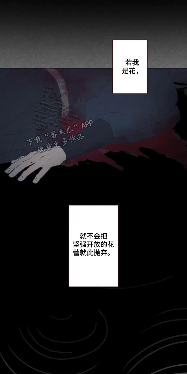 第176章：荷花21