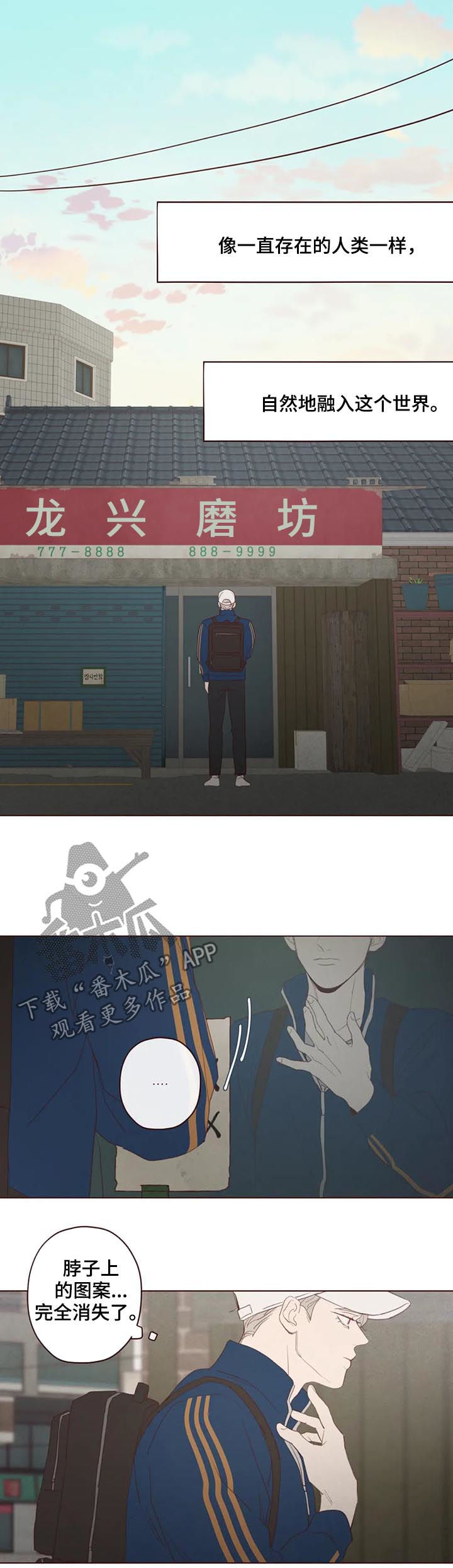 第121章：可怜人8