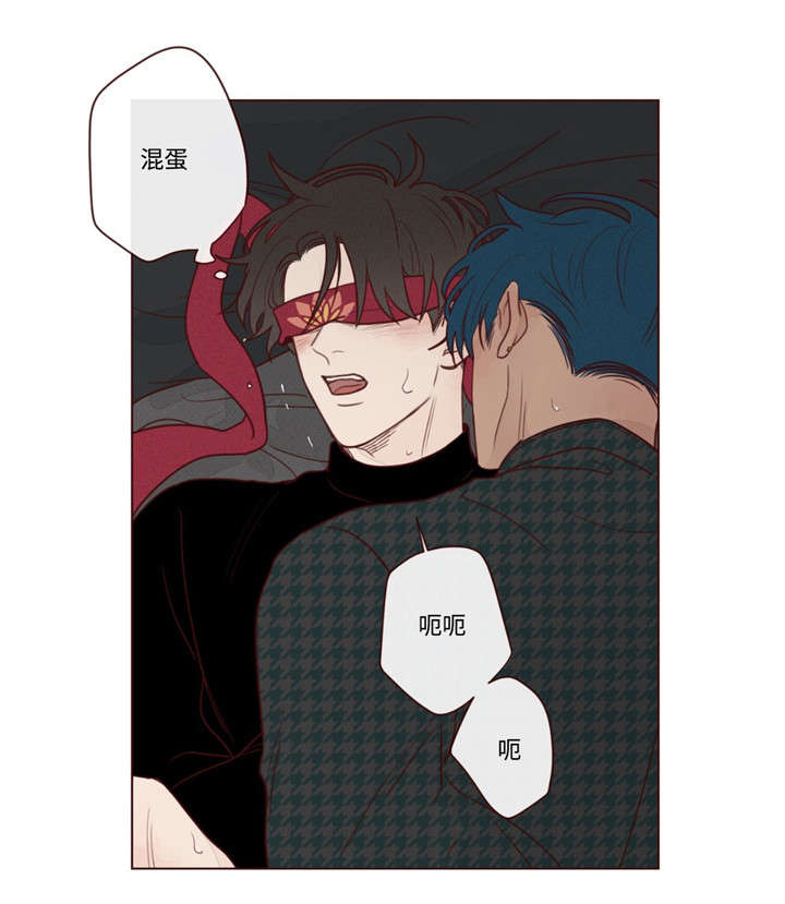 第17章：脸5