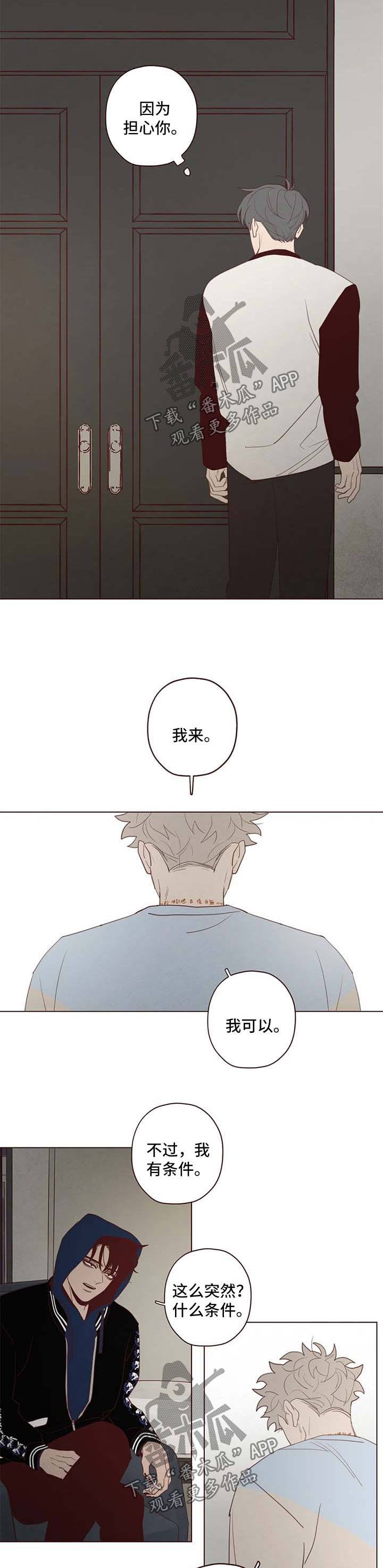 第110章：赌一把5