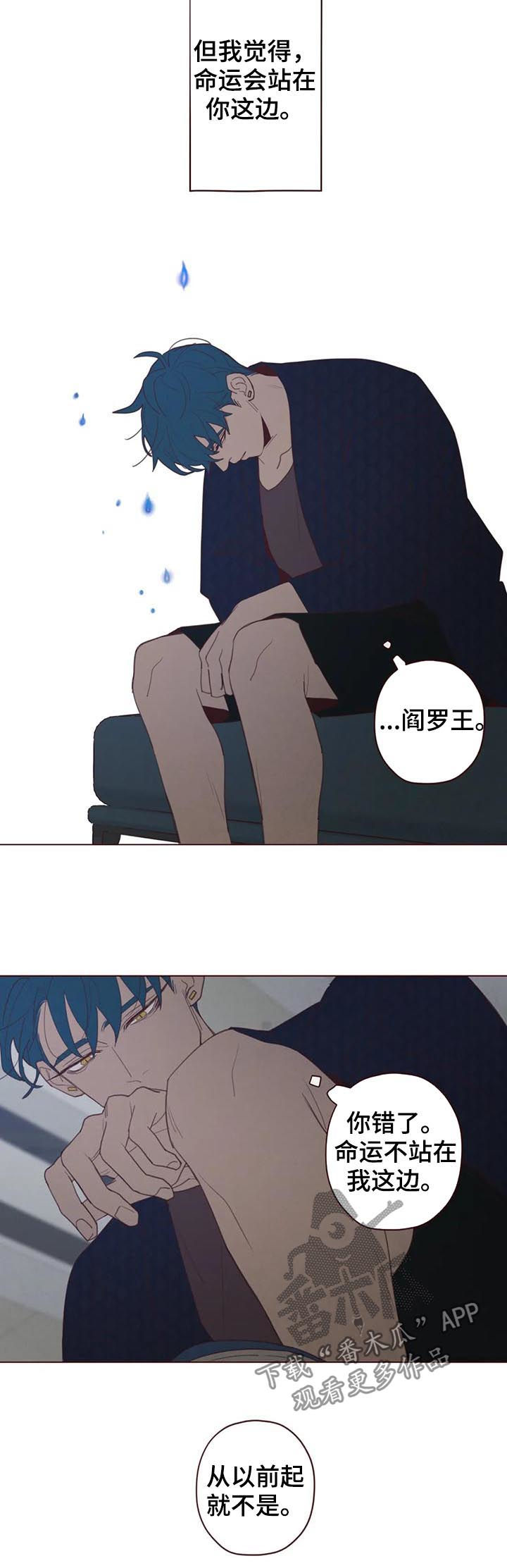 第113章：命运4