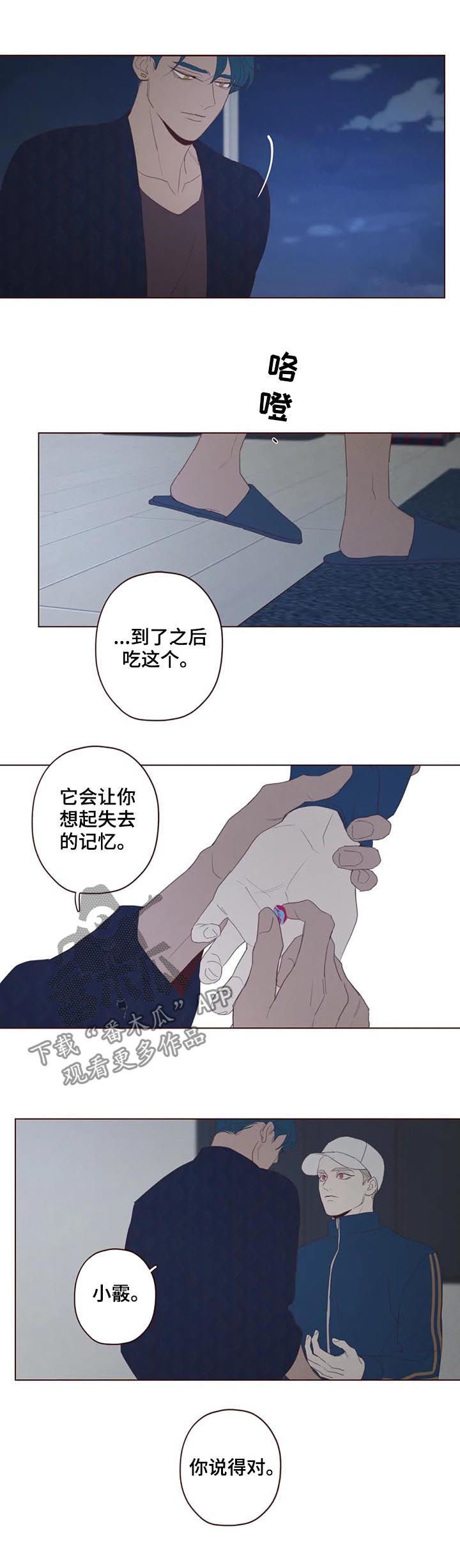 第121章：可怜人5